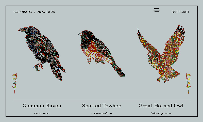 Current bird artwork